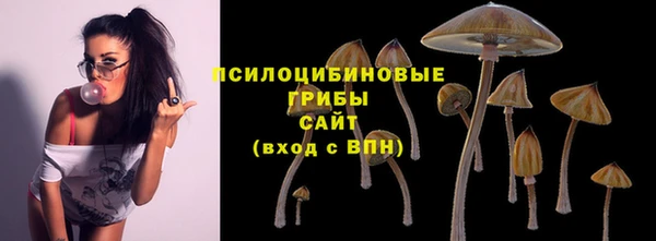 a pvp Верея