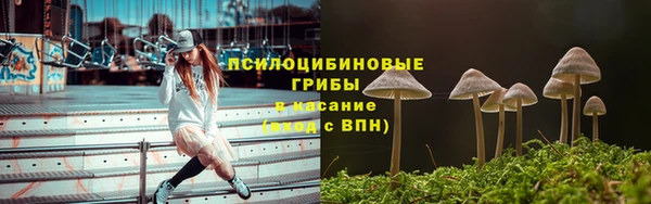 a pvp Верея